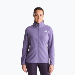 Bluză fleece pentru bărbați The North Face Glacier Fleece grounded plum