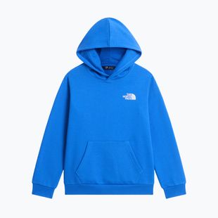 Bluză pentru copii The North Face Evolution Box NSE Pullover Hoodies active blue