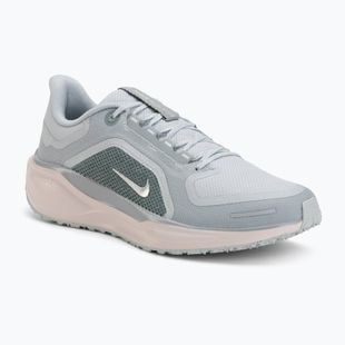 Încălțăminte de alergare pentru bărbați Nike Pegasus 41 GTX light pumice/pure platinum/silt red/metal silver