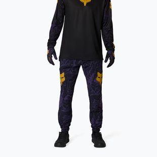 Pantaloni de ciclism pentru bărbați Fox Racing Ranger Image Print plum