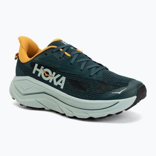Încălțăminte de alergare pentru bărbați HOKA Challenger 8 bay leaf/sage