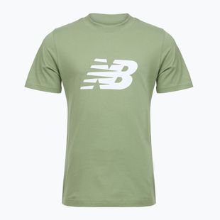 Tricou pentru bărbați New Balance Graphic V Flying oregano