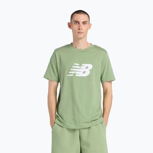 Tricou pentru bărbați New Balance Graphic V Flying oregano