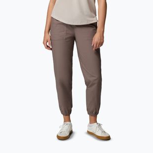Pantaloni de trekking pentru bărbați Columbia ROC Ripstop Jogger iron