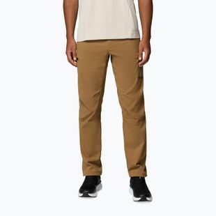 Pantaloni de trekking pentru bărbați Columbia Cosmiques Pro Nylon delta