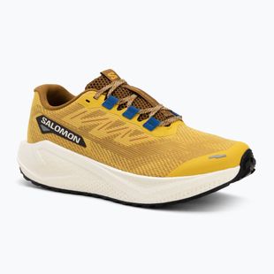 Încălțăminte de alergare pentru bărbați Salomon Aero Blaze 3 GRVL spicy mustard/vanilla ice/nautical blue