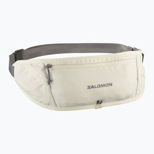 Centură de alergare Salomon Pulse Sling icicle / castlerock