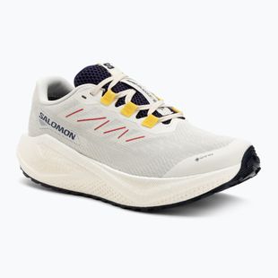 Încălțăminte de alergare pentru bărbați  Salomon Aero Blaze 3 Gravel GTX vanilla ice/astral aura/lemon