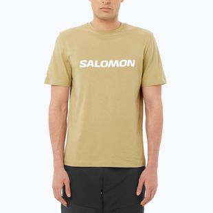 Tricou pentru bărbați Salomon Logo gray green