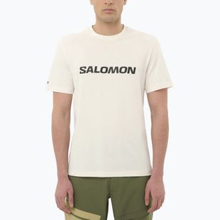 Tricou pentru bărbați Salomon Logo whisper white
