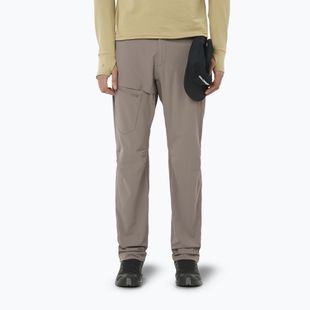 Pantaloni de trekking pentru bărbați Salomon Wayfarer iron