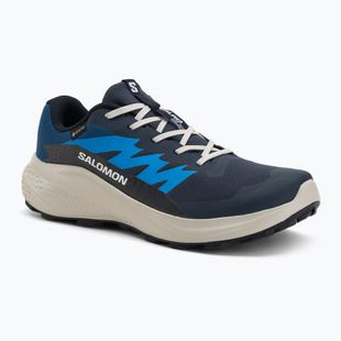 Încălțăminte de alergare pentru bărbați  Salomon Alphaglide GTX blue night/lunar rock/french blue