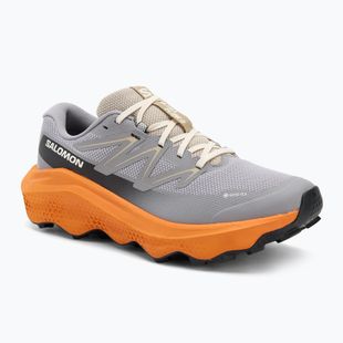 Încălțăminte de alergare pentru bărbați Salomon Ultra Flow 2 GTX gull/turmeric/white pepper