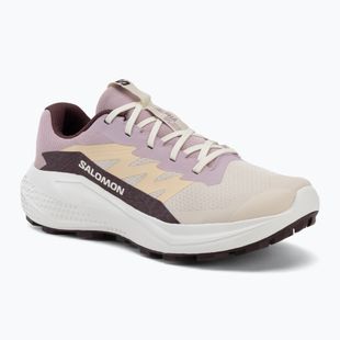Încălțăminte de alergare pentru femei Salomon Alphaglide tapioca/dawn pink