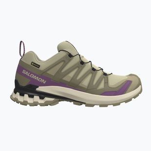 Încălțăminte de alergare pentru femei Salomon XA Pro 3D V9 GTX bog/aloe