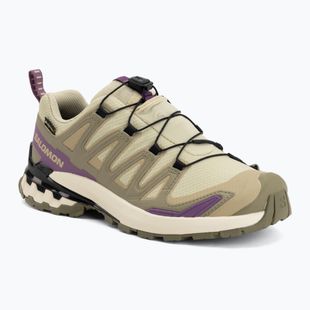 Încălțăminte de alergare pentru femei Salomon XA Pro 3D V9 GTX bog/aloe