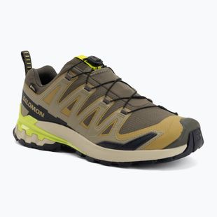 Încălțăminte de alergare pentru bărbați Salomon XA Pro 3D V9 GTX grape leaf/aloe