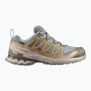 Încălțăminte de alergare pentru bărbați Salomon XA Pro 3D V9 GTX sedona sage/brilliant olive