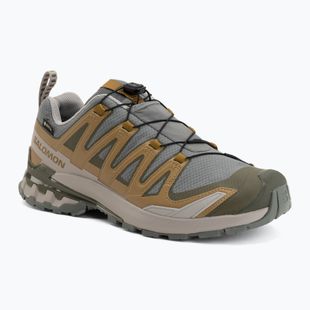 Încălțăminte de alergare pentru bărbați Salomon XA Pro 3D V9 GTX sedona sage/brilliant olive