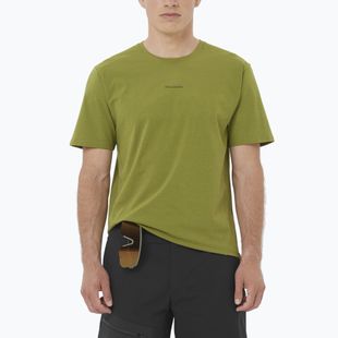 Tricou pentru bărbați Salomon Trackline cardamon seed