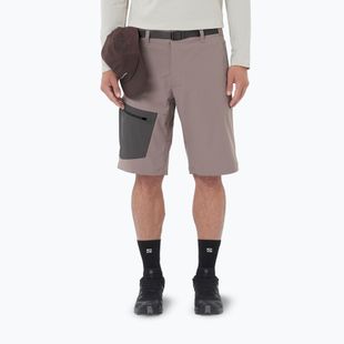Pantaloni scurți de trekking pentru bărbați Salomon Outerpath Utility iron