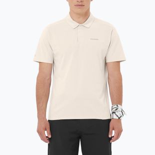 Tricou polo pentru bărbați Salomon Trackline Polo silver cloud