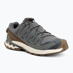Încălțăminte de alergare pentru bărbați Salomon XA Pro 3D V9 GTX Lifelong sedona sage/coyote brown