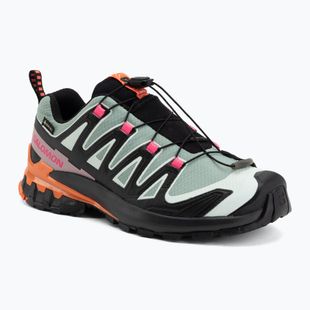 Încălțăminte de alergare pentru femei Salomon XA Pro 3D V9 GTX Icon black/green milieu