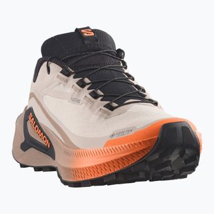 Încălțăminte de alergare pentru femei Salomon Genesis 2 GTX rainy day/desert tan
