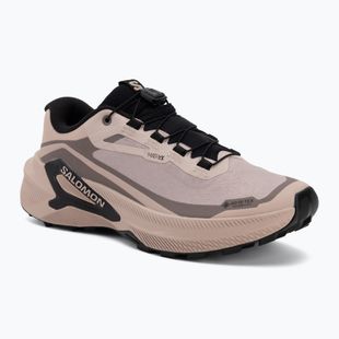 Încălțăminte de alergare pentru femei Salomon Genesis 2 GTX shadow gray/iron