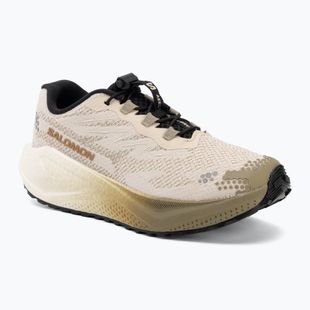 Încălțăminte de alergare pentru femei Salomon Aero Blaze 4 GRVL tapioca/vanilla ice