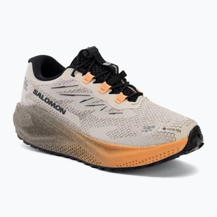 Încălțăminte de alergare pentru femei Salomon Aero Blaze 4 GRVL GTX rainy day/black