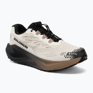 Încălțăminte de alergare pentru bărbați Salomon Aero Blaze 4 GRVL GTX vanilla ice/black