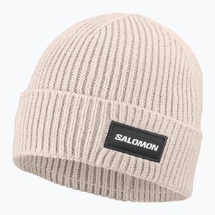 Căciulă de iarnă Salomon Classic silver cloud