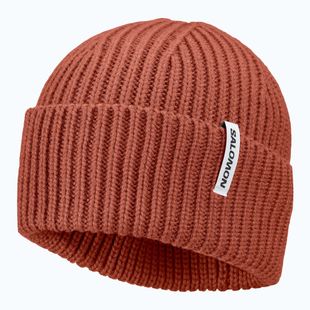 Căciulă de iarnă Salomon Snowbird burnt umber