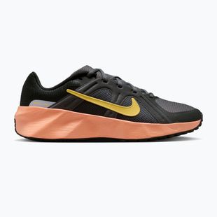 Încălțăminte pentru bărbați Nike Metro Tek dark grey/anthracite/black/topaz gold