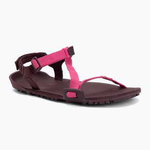 Sandale barefoot pentru femei Xero Shoes Z-Trail EV fuchsia purple
