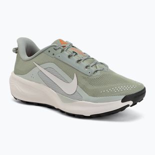 Încălțăminte de alergare pentru bărbați Nike ACG Pegasus Trail jade horizon/light silver/phantom