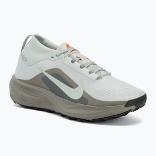 Încălțăminte de alergare pentru bărbați Nike ACG Pegasus Trail GORE-TEX Light Silver/Light Army/Light Silver