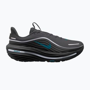 Încălțăminte de alergare pentru bărbați Nike Winflo 12 GORE-TEX anthracite/black/bright spruce