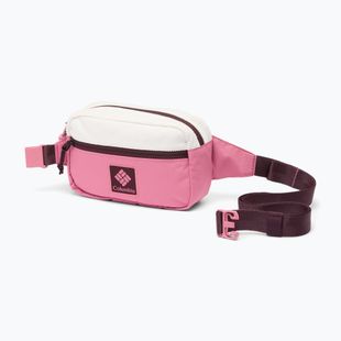 Borsetă Columbia Trail Traveler Hip sea salt/rosette/moonvista