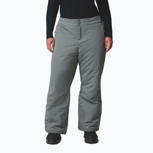 Pantaloni de schi pentru femei Columbia Bugaboo III sedona sage