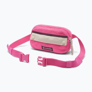Borsetă Columbia Helvetia II Hip Pack 1 l nico/dark stone