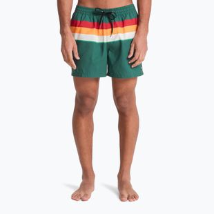 Pantaloni scurți de baie pentru bărbați Quiksilver Everyday Printed Volley 15" forest outside stripe