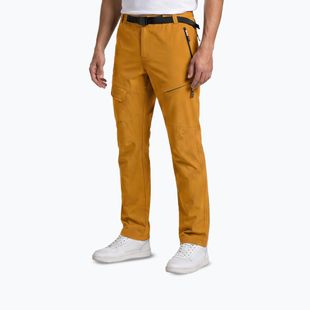 Pantaloni de trekking pentru bărbați Aulp Brady kombucha