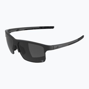 Ochelari de soare Alpina Eagle Q-Lite black matte/silver mirror