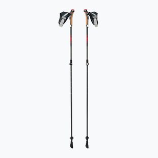 Bețe de nordic walking LEKI Instructor Lite negru-arginti 65326341