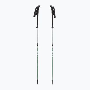 Bețe de trekking LEKI Makalu FX TA silver/greygreen/white