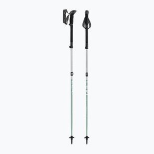 Bețe de trekking LEKI Makalu FX TA silver/greygreen/white