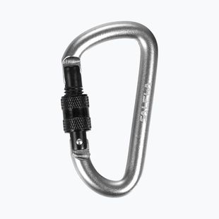 Salewa D-Shape Carbiner cu șurub argintiu 00-0000034102